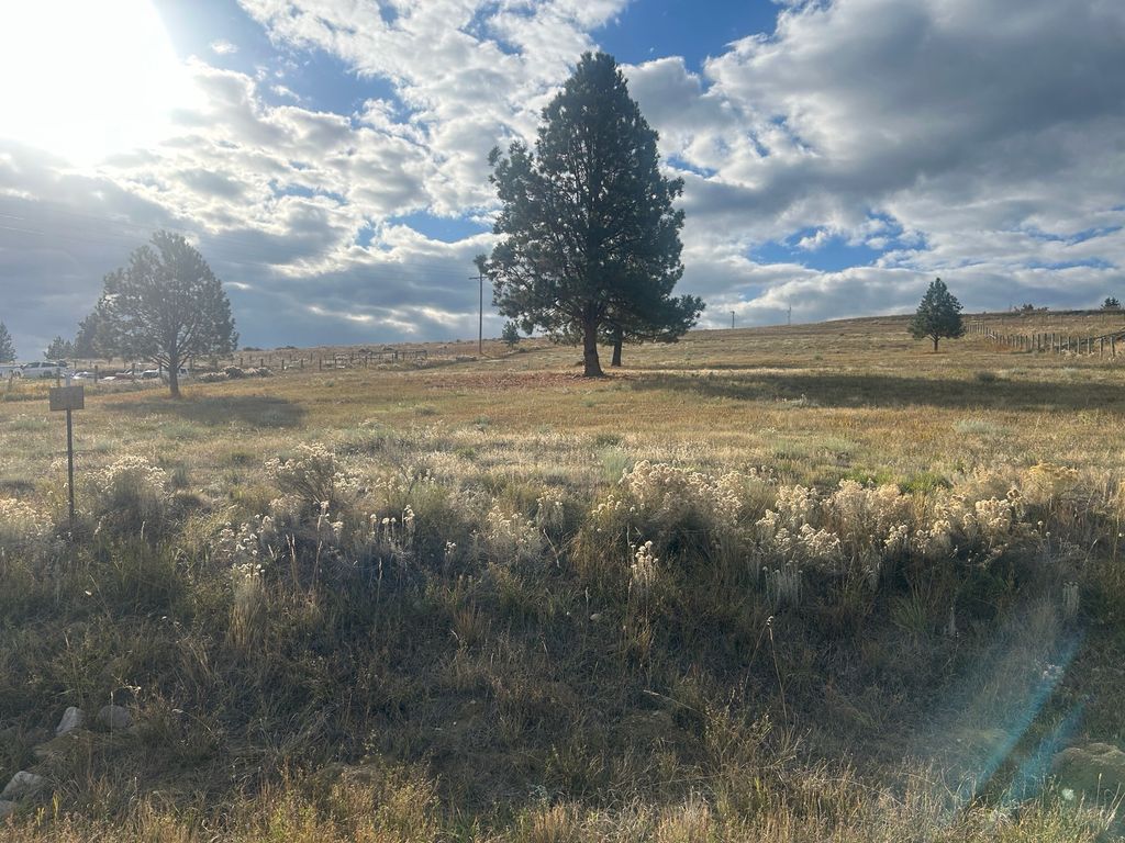 Photo of 844 Cochise Way, Hamilton, MT 59840 (MLS # 30062139)