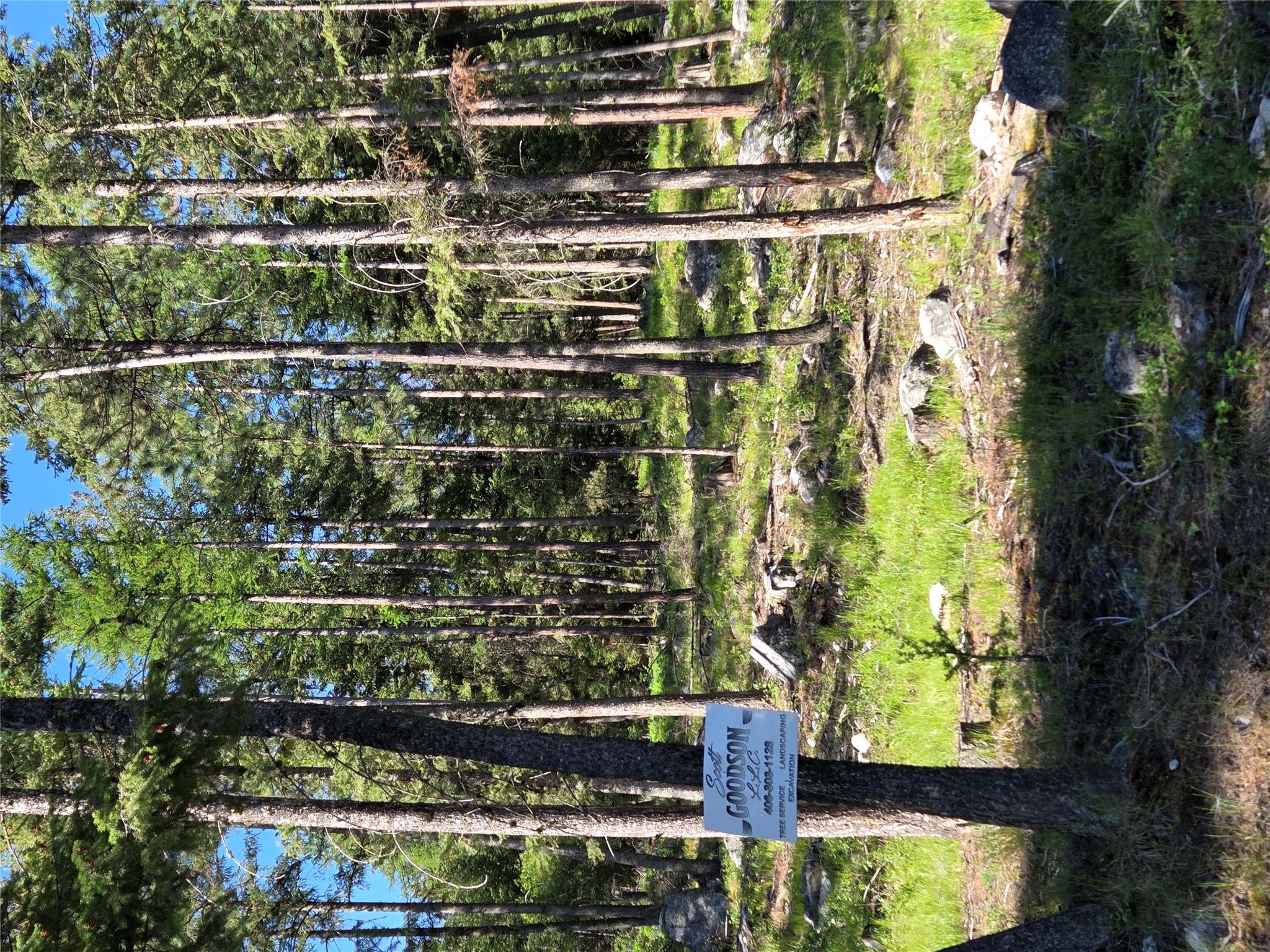 1959 Bear Face Road