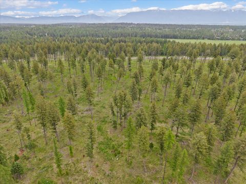 Tiny photo for 296 Layton Road, Whitefish, MT 59937 (MLS # 30070813)