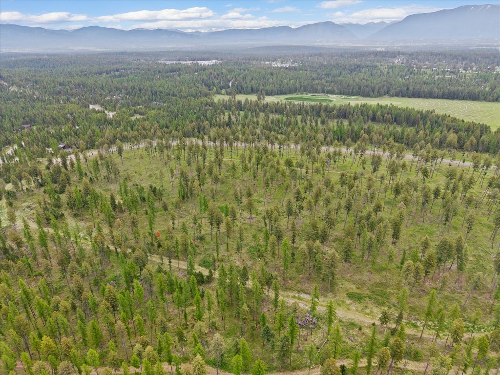 Photo of 296 Layton Road, Whitefish, MT 59937 (MLS # 30070813)
