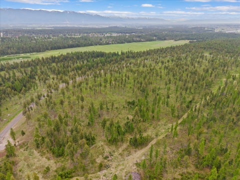 Tiny photo for 296 Layton Road, Whitefish, MT 59937 (MLS # 30070813)