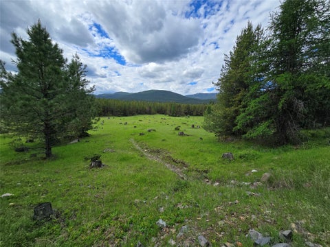 Photo of TBD Yaak River Road, Troy, MT 59935 (MLS # 30072527)