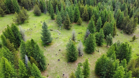 Tiny photo for TBD Yaak River Road, Troy, MT 59935 (MLS # 30072527)
