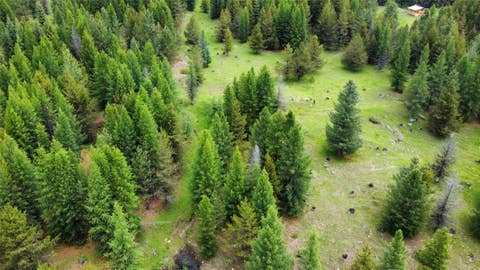 Tiny photo for TBD Yaak River Road, Troy, MT 59935 (MLS # 30072527)
