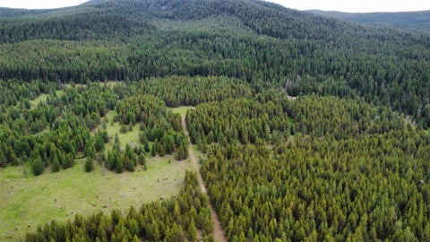 Tiny photo for TBD Yaak River Road, Troy, MT 59935 (MLS # 30072527)