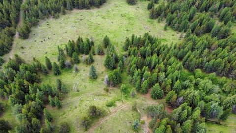 Tiny photo for TBD Yaak River Road, Troy, MT 59935 (MLS # 30072527)