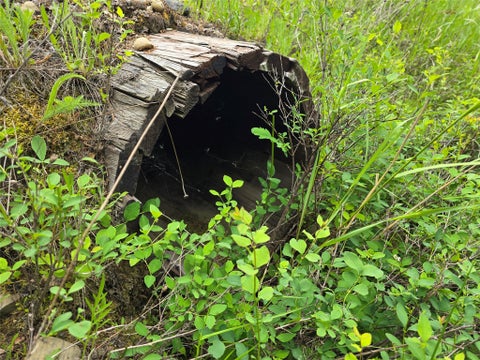 Tiny photo for TBD Yaak River Road, Troy, MT 59935 (MLS # 30072527)