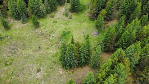 Tiny photo for TBD Yaak River Road, Troy, MT 59935 (MLS # 30072527)