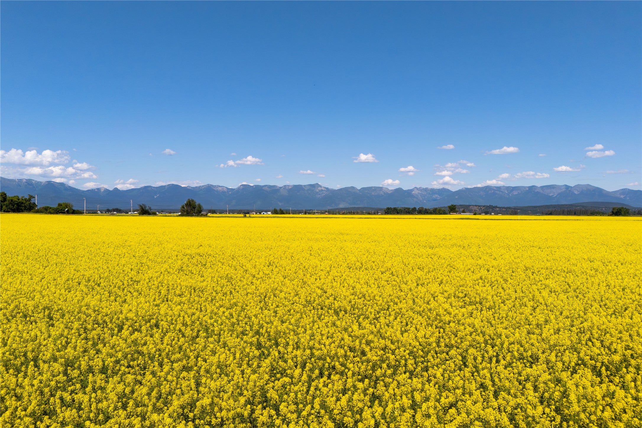 1000 MT Hwy 82