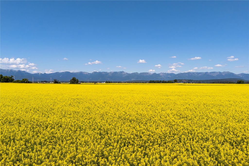 Photo of 1000 MT Hwy 82, Somers, MT 59932 (MLS # 30074522)