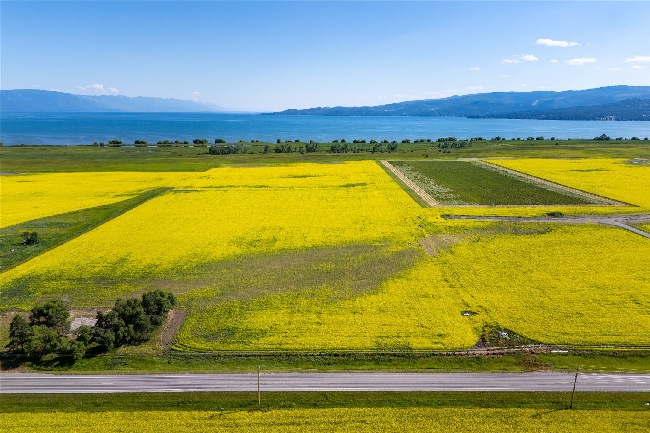 1000 MT Hwy 82