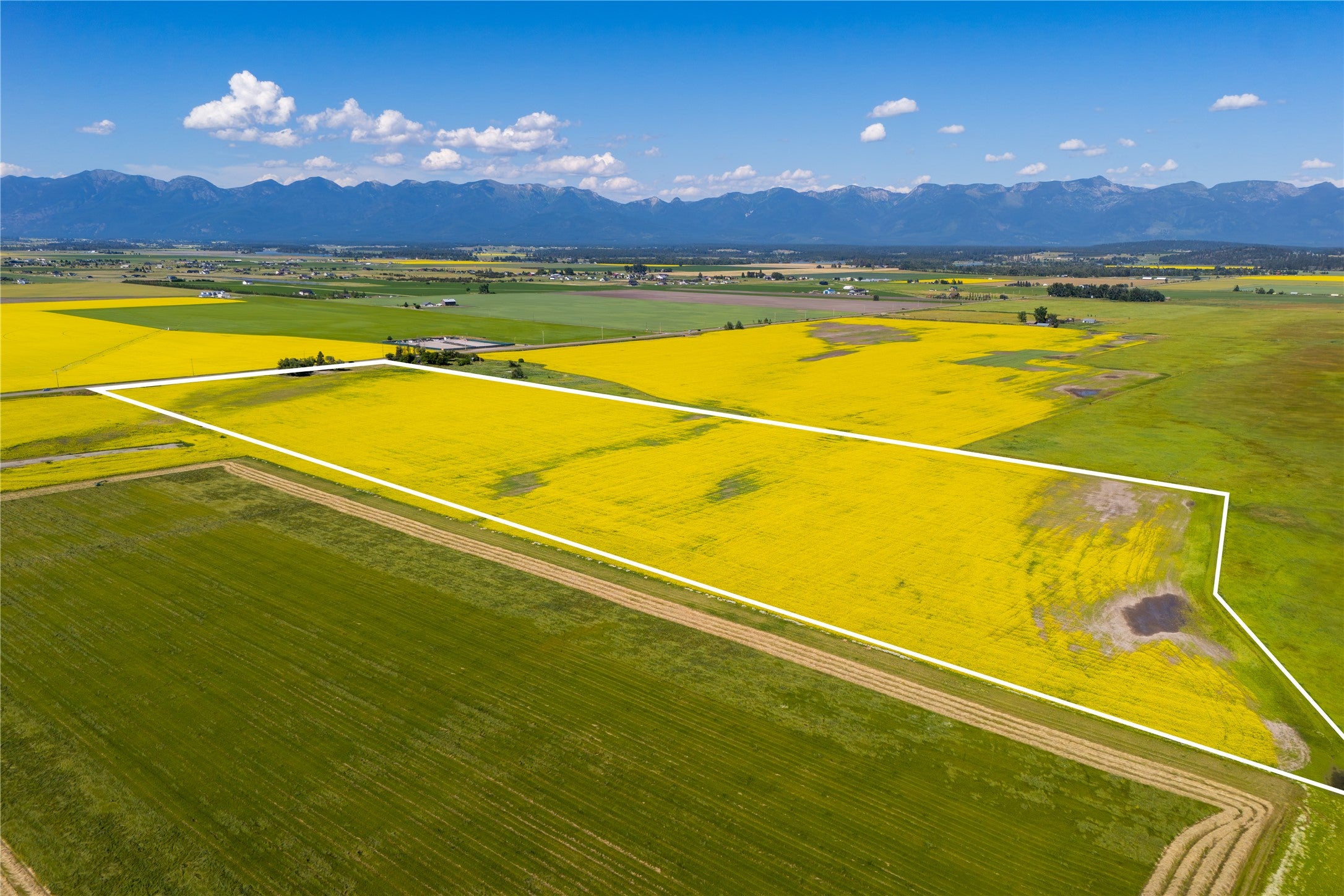 1000 MT Hwy 82