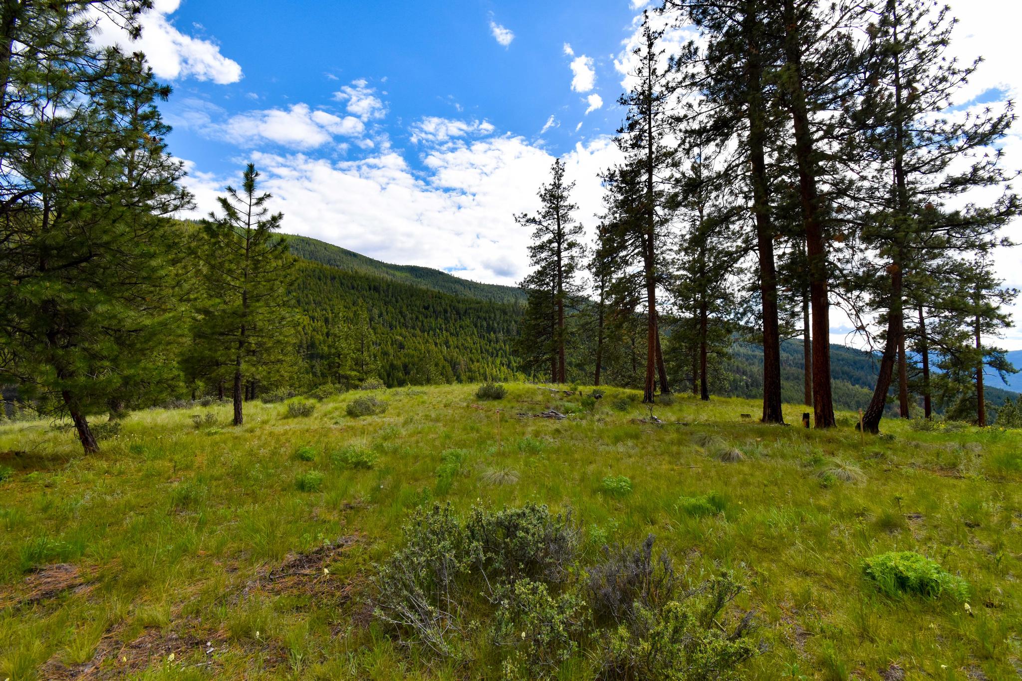 285 Henry Creek Road