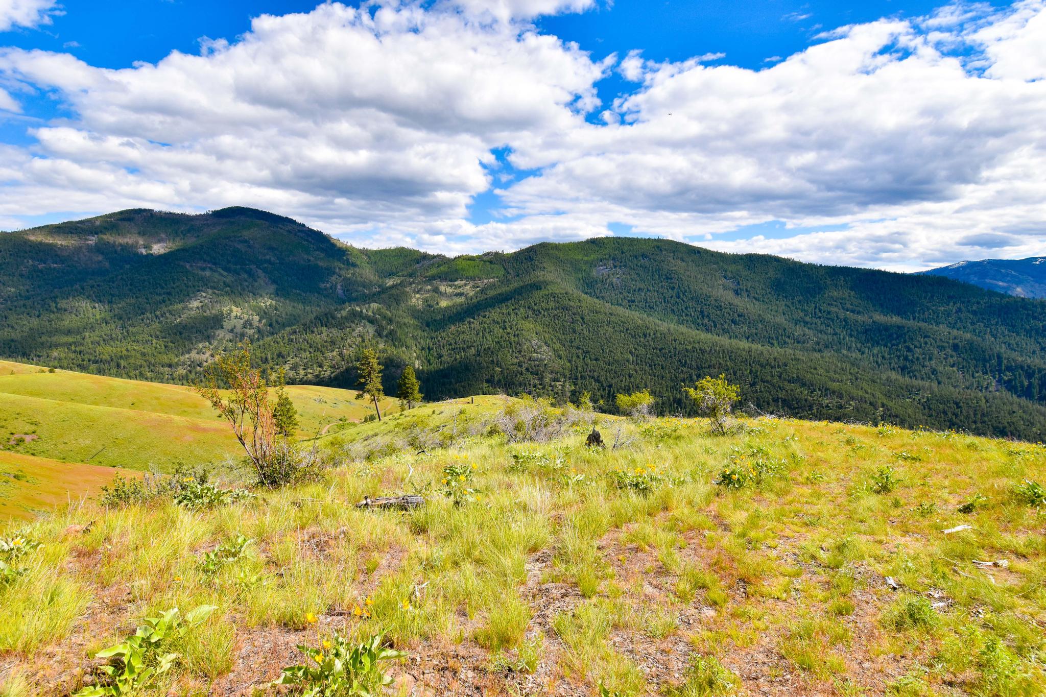 285 Henry Creek Road