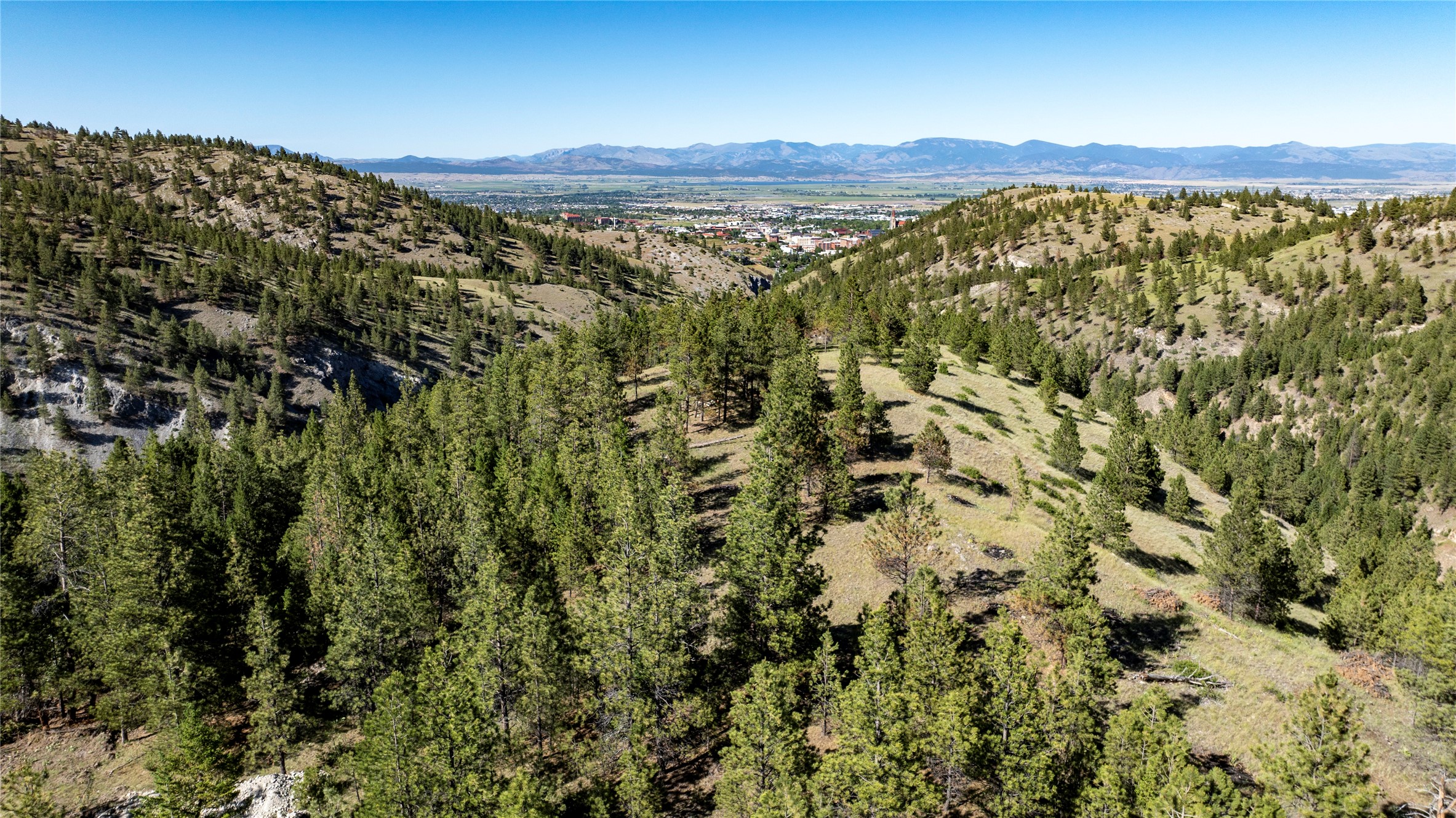 915 Grizzly Gulch Drive