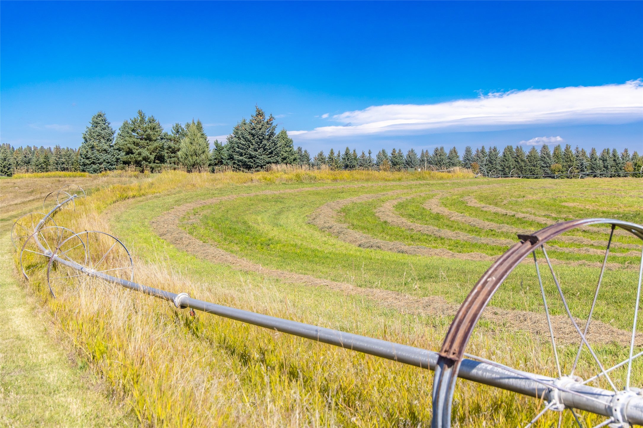 167 Cimarron Trail