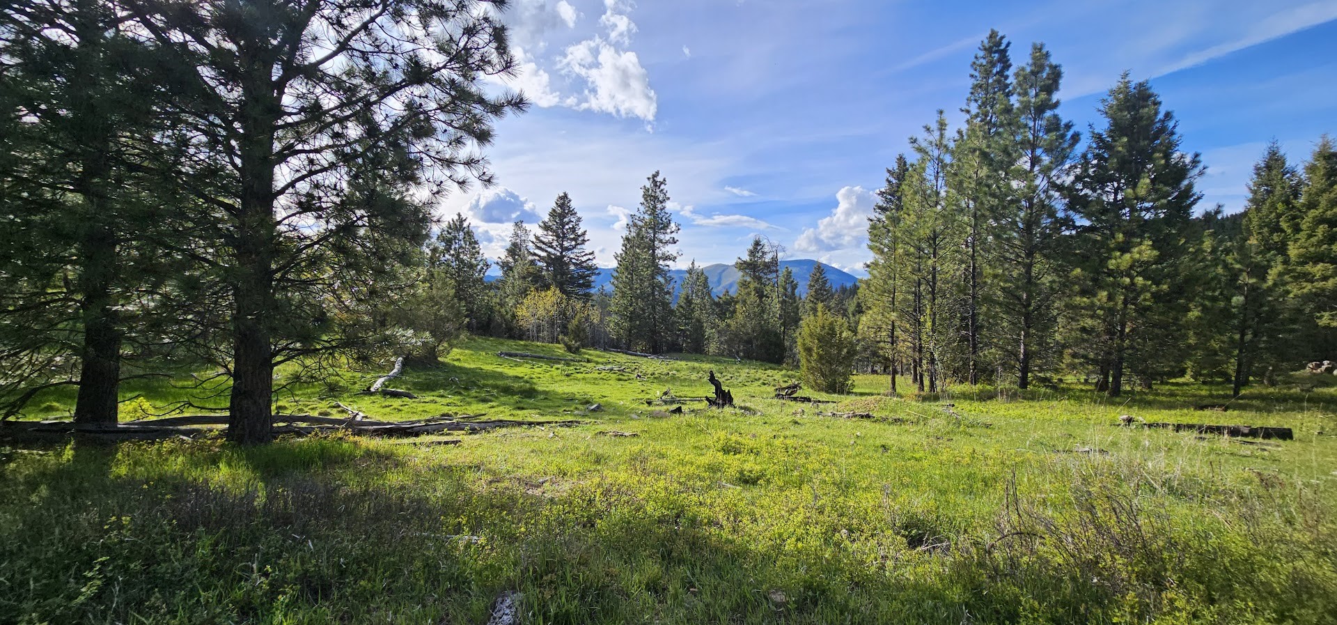 7 Tract, Bull Elk