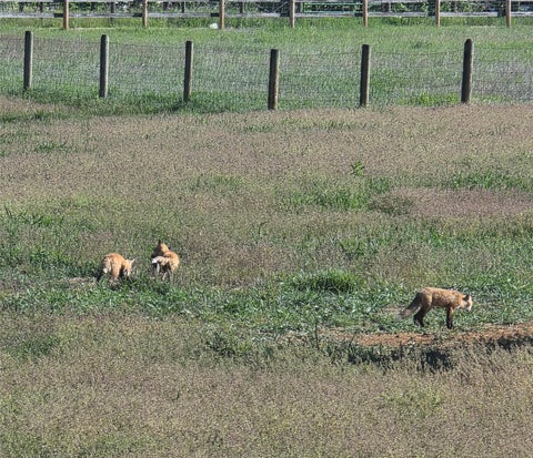 Tiny photo for 10190 Kona Ranch Road, Missoula, MT 59808 (MLS # 30072859)