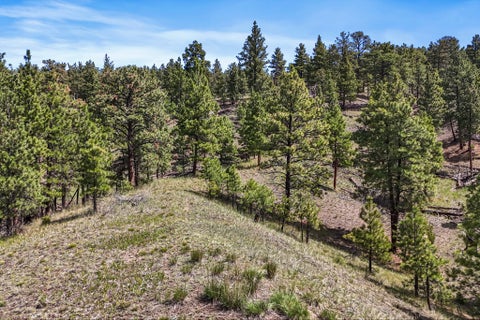 Tiny photo for 6155 Scott Lane, Helena, MT 59602 (MLS # 30072054)
