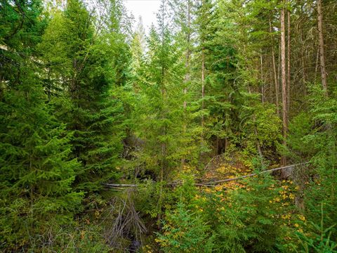 Tiny photo for NHN Black Lake Road, Rexford, MT 59930 (MLS # 30069061)
