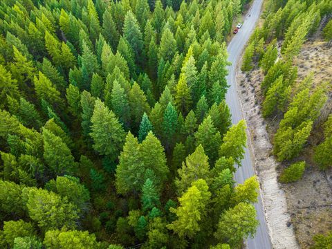 Tiny photo for NHN Black Lake Road, Rexford, MT 59930 (MLS # 30069061)