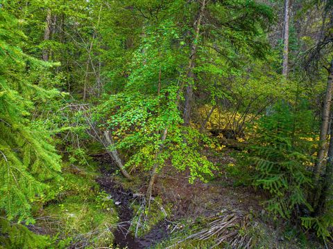 Tiny photo for NHN Black Lake Road, Rexford, MT 59930 (MLS # 30069061)