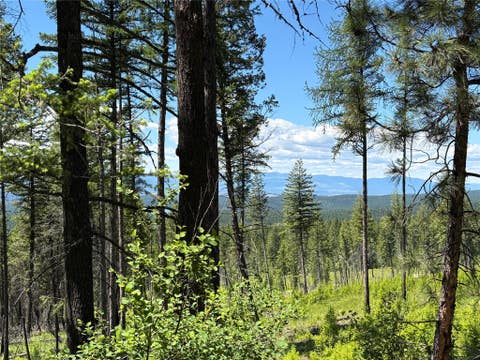 Tiny photo for 8025 Therriault Pass Road, Eureka, MT 59917 (MLS # 30073283)