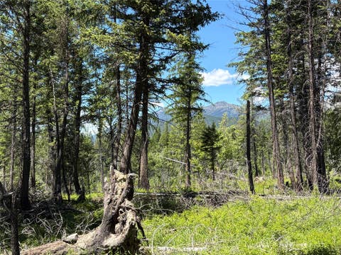 Tiny photo for 8025 Therriault Pass Road, Eureka, MT 59917 (MLS # 30073283)