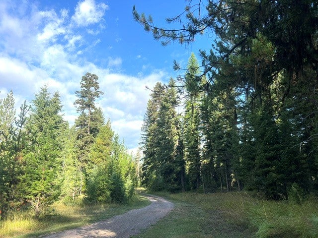 138 Sawyer Creek Road