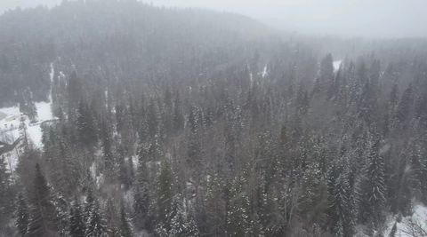 121 Twin Creek Road De Borgia MT 59830