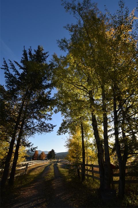 Tiny photo for 7225 Farm To Market Road, Whitefish, MT 59937 (MLS # 30057173)