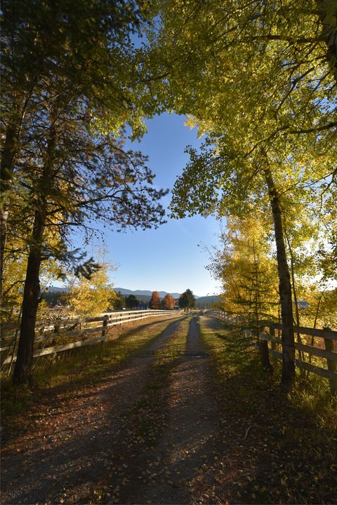 Tiny photo for 7225 Farm To Market Road, Whitefish, MT 59937 (MLS # 30057173)