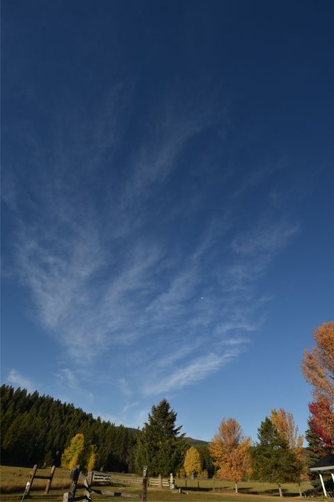 Tiny photo for 7225 Farm To Market Road, Whitefish, MT 59937 (MLS # 30057173)