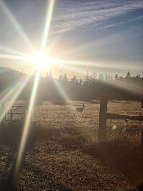 Tiny photo for 7225 Farm To Market Road, Whitefish, MT 59937 (MLS # 30057173)