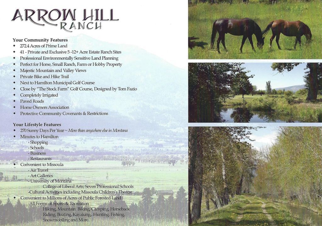 Photo of Lot 38 Arrow Hill Ranch Road, Hamilton, MT 59840 (MLS # 30065392)