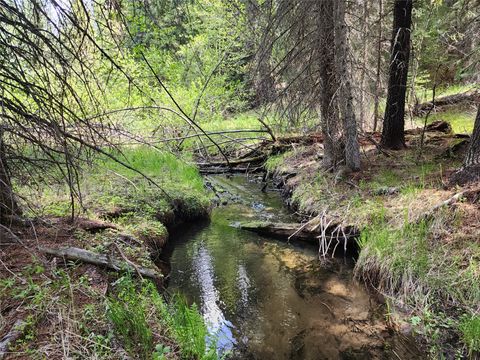 141 Berts Way Yaak MT 59935