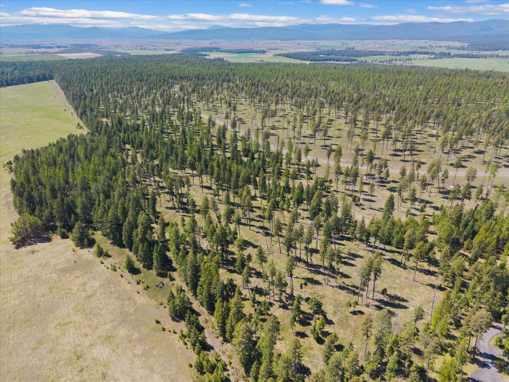 Photo of 327 Layton Road, Whitefish, MT 59937 (MLS # 30070815)