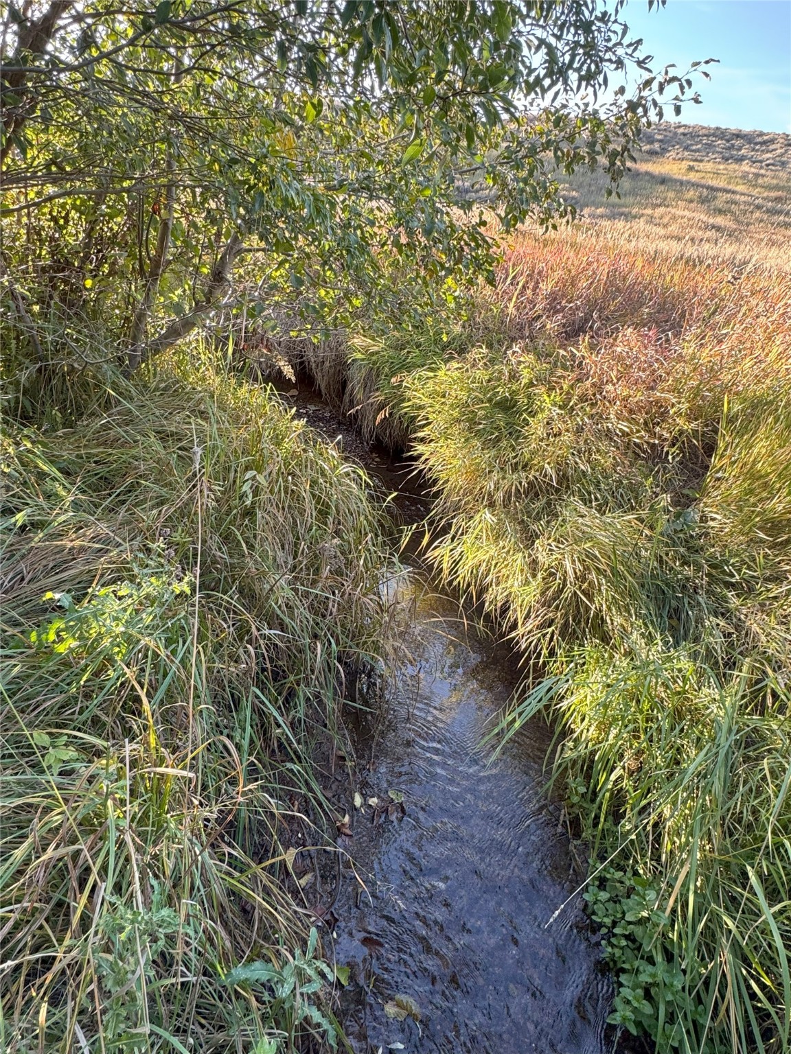 45 Mountainview Trail