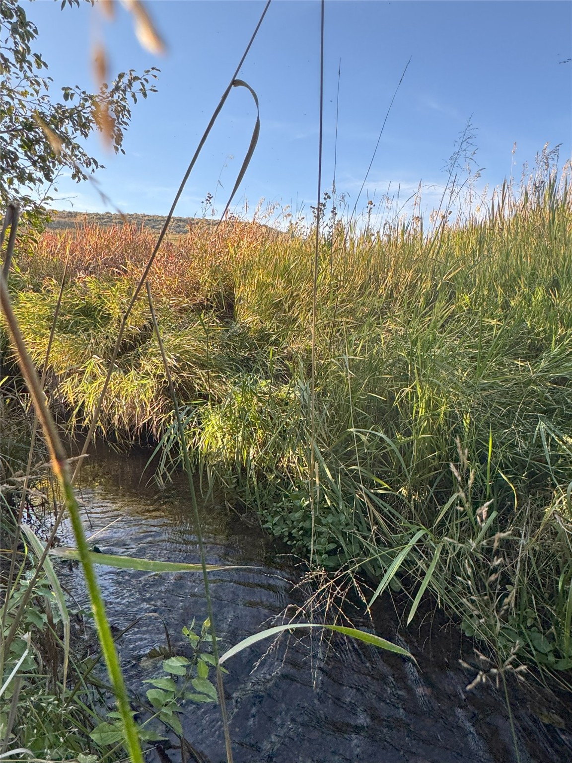 45 Mountainview Trail