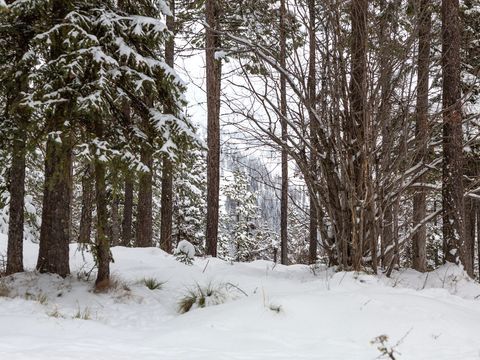 Tiny photo for 128 Ridge Run Drive, Whitefish, MT 59937 (MLS # 30047060)