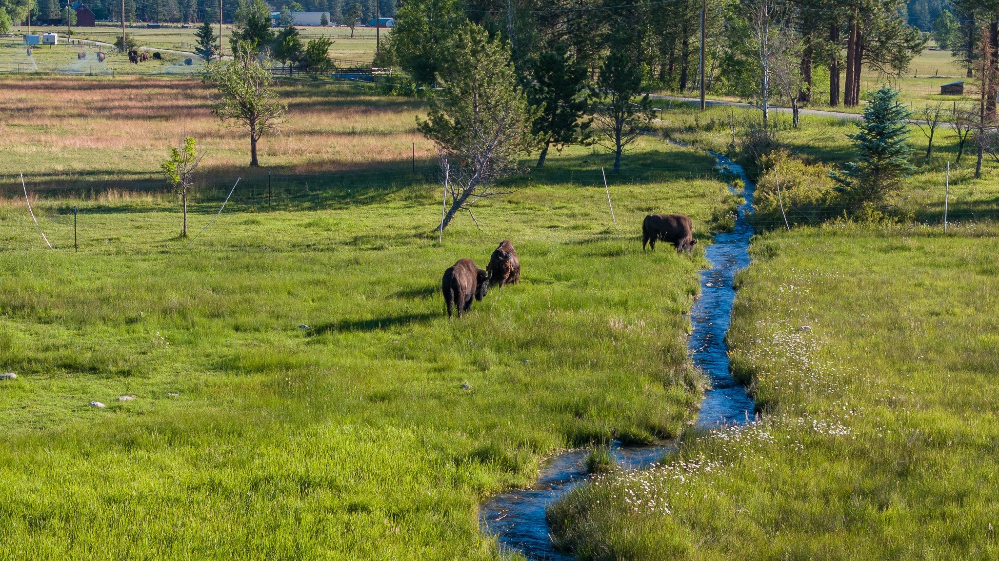Victor, Montana 59875, United States, 4 Bedrooms Bedrooms, ,4 BathroomsBathrooms,Residential,Active,116273