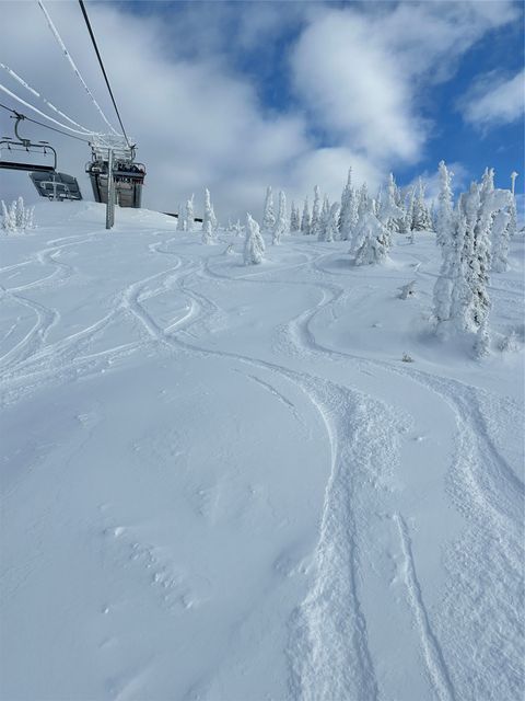 Tiny photo for 322 Wood Run Drive #B, Whitefish, MT 59937 (MLS # 30051205)