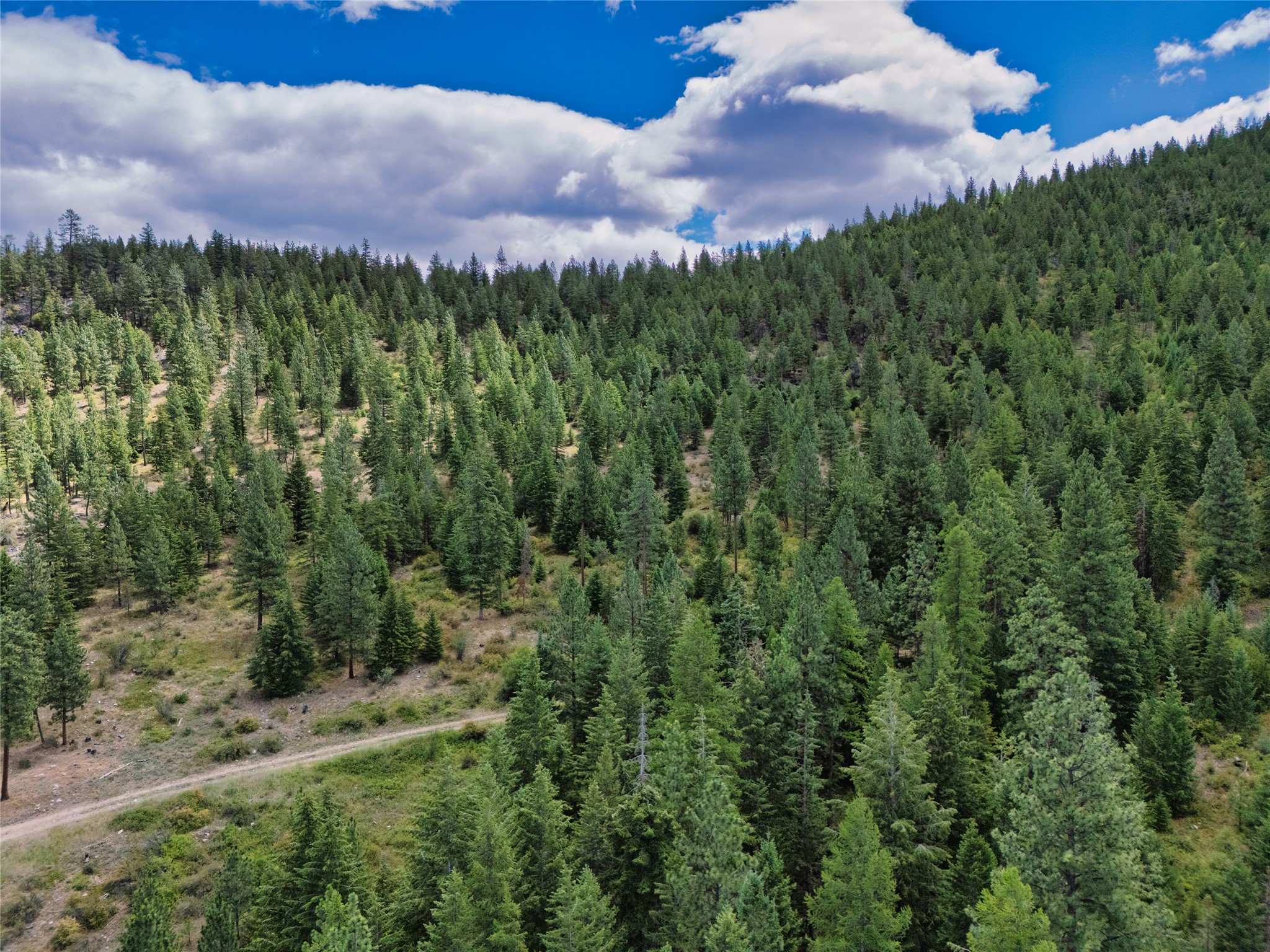 Lot 29 Bighorn Bluff Loop