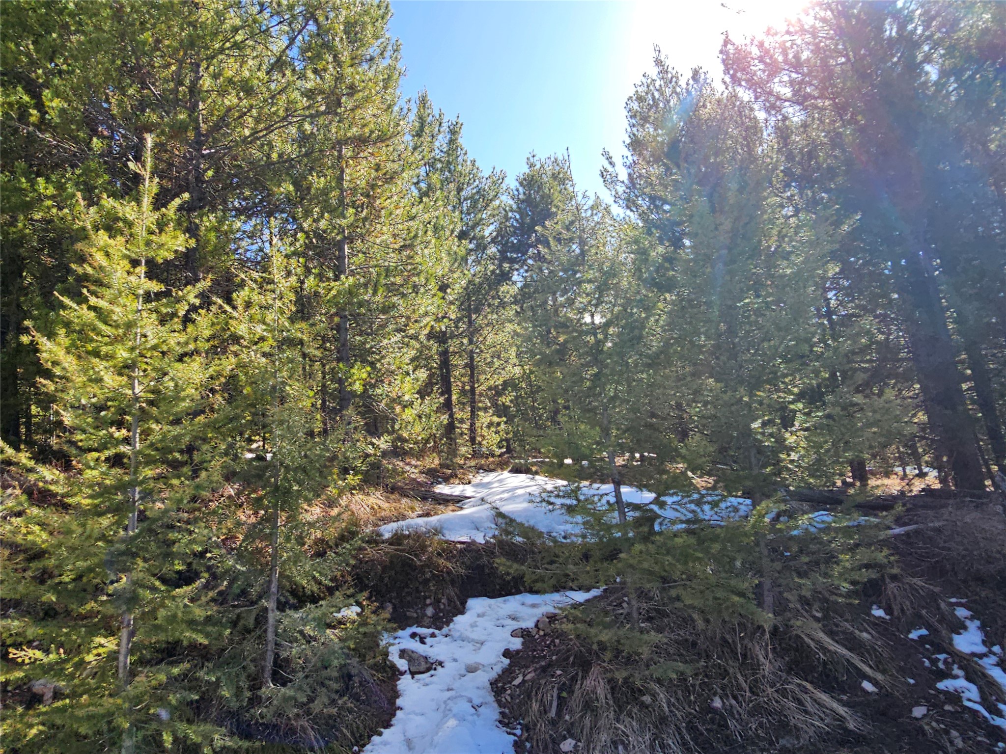 NHN Elk Horn Road