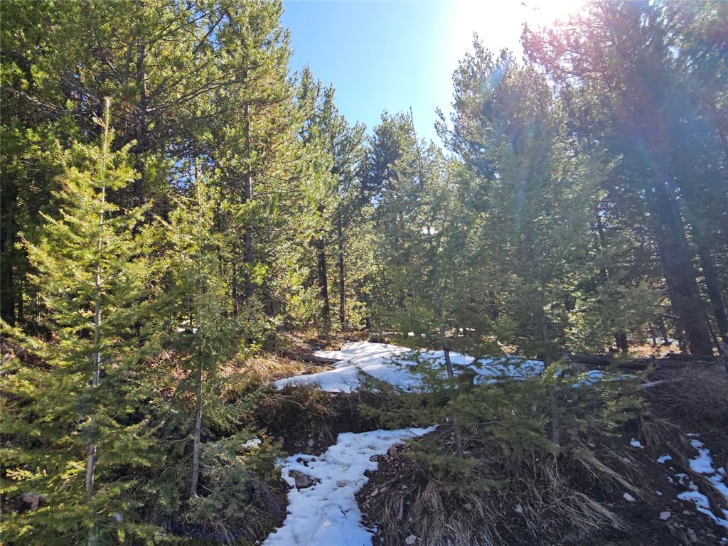 Photo of NHN Elk Horn Road, Helmville, MT 59843 (MLS # 30070127)