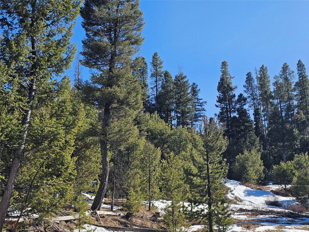 Photo of NHN Elk Horn Road, Helmville, MT 59843 (MLS # 30070127)