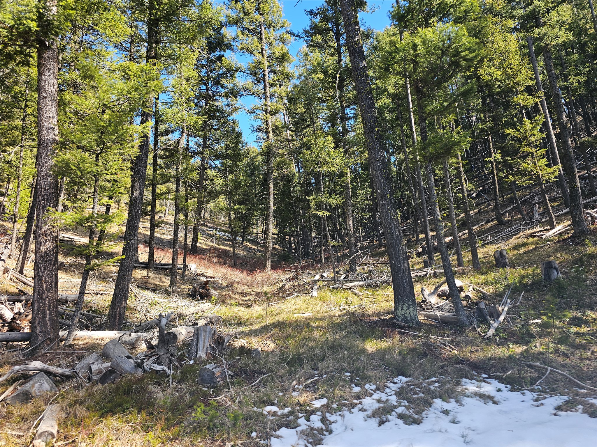 NHN Elk Horn Road