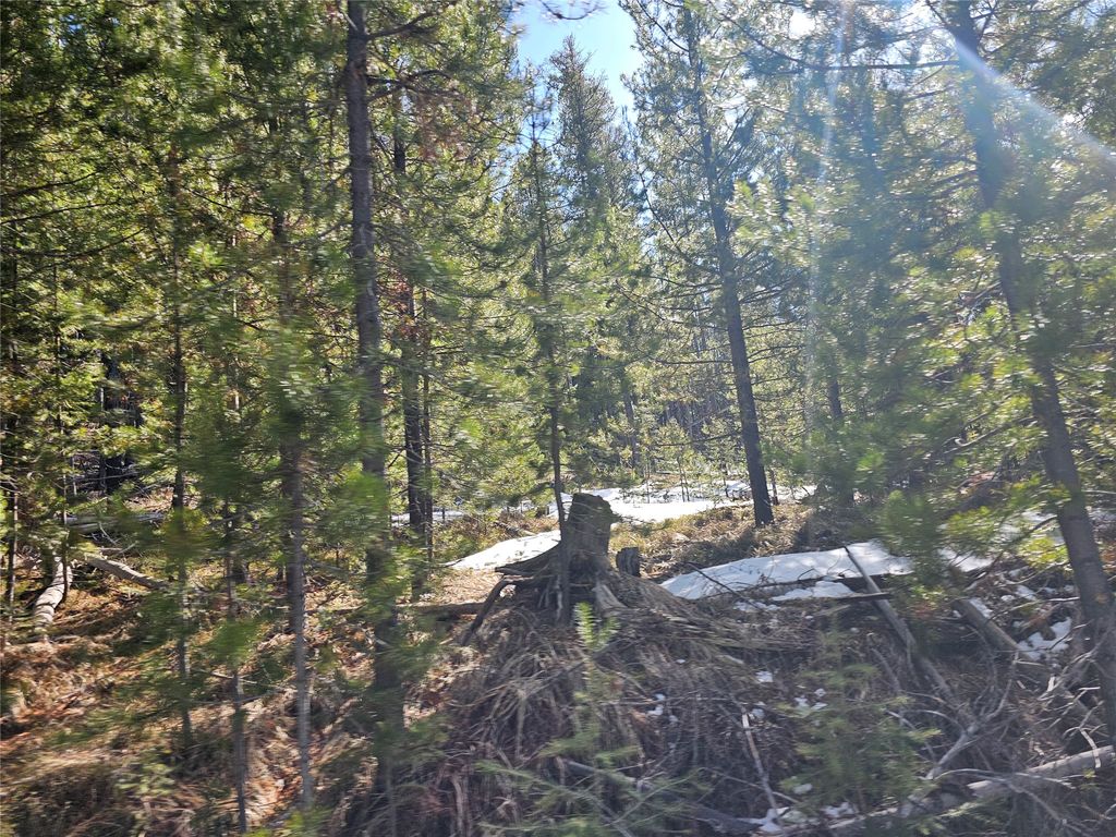 Photo of NHN Elk Horn Road, Helmville, MT 59843 (MLS # 30070127)