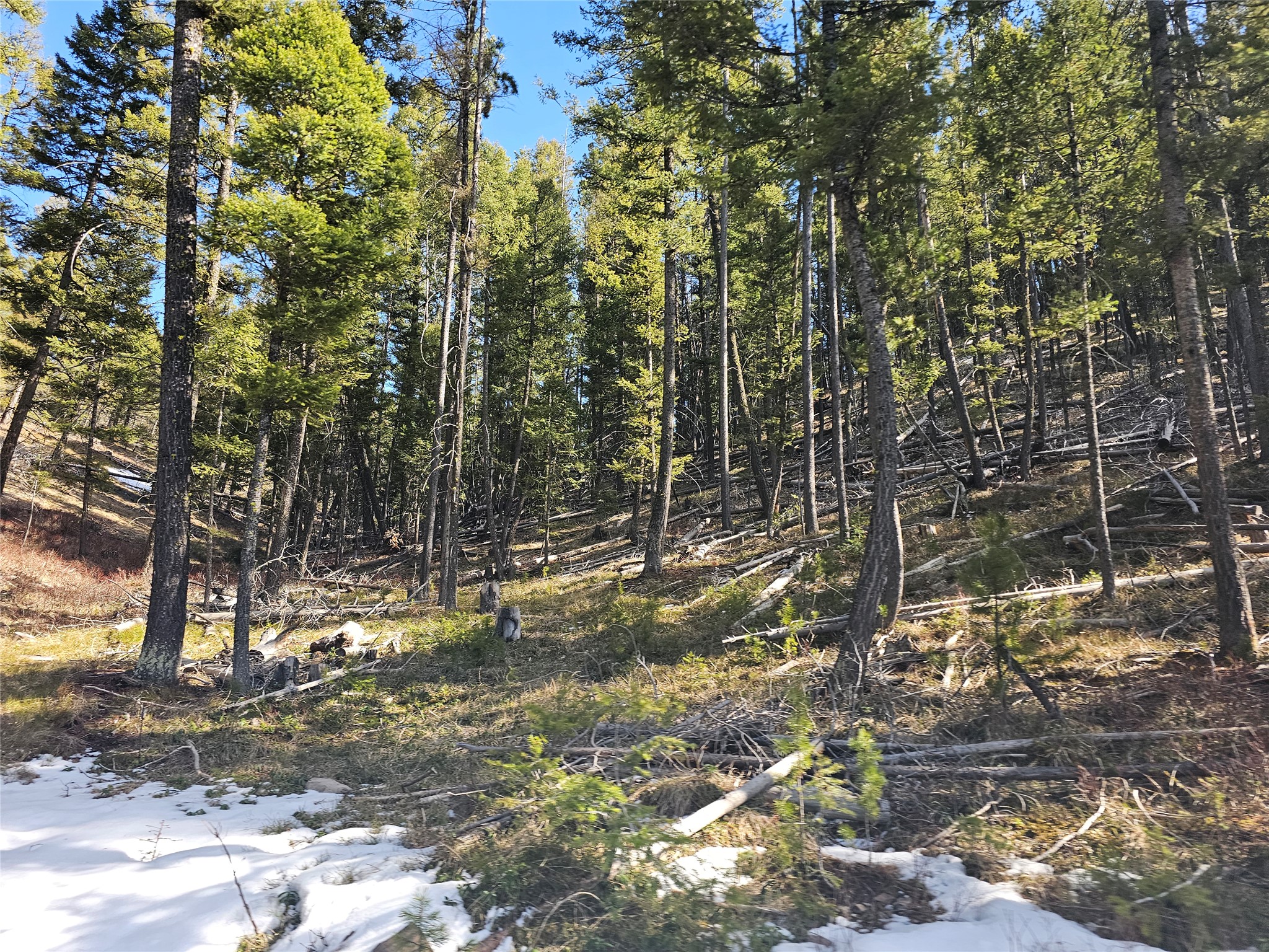 NHN Elk Horn Road