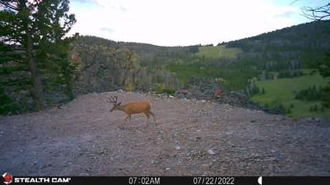 Tiny photo for TBD Indian Creek Road, Townsend, MT 59644 (MLS # 30071348)
